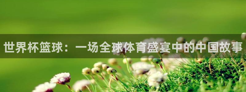 足球比分直播世界杯：世界杯篮球：一场全球体育盛宴中的中国故事