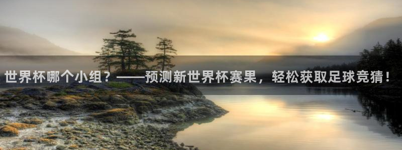 2026世界杯亚洲预选赛：世界杯哪个小组？——预测新世界杯赛果，轻松获取足球竞猜！