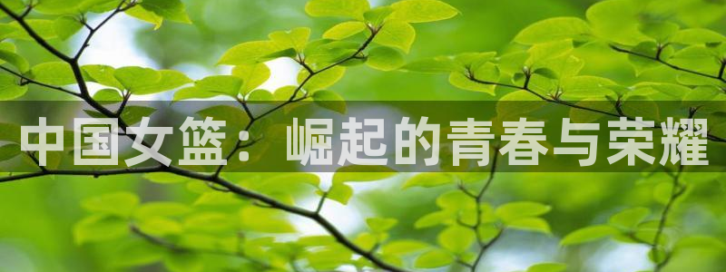 2026世界杯赛制：中国女篮：崛起的青春与荣耀