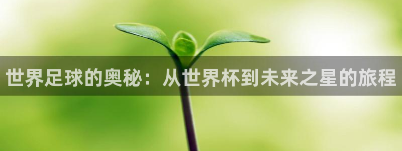 2026年世界杯：世界足球的奥秘：从世界杯到未来之星的旅程