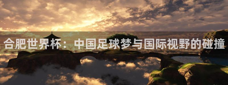 世界杯欧洲预选赛：合肥世界杯：中国足球梦与国际视野的碰撞