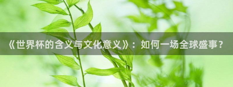 2026年世界杯赛程：《世界杯的含义与文化意义》：如何一场全球盛事？