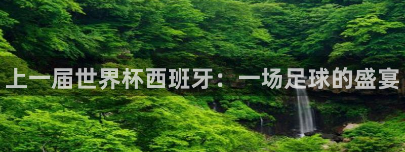 美国世界杯：上一届世界杯西班牙：一场足球的盛宴