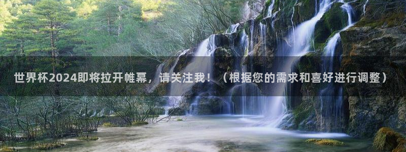 足球比分直播世界杯：世界杯2024即将拉开帷幕，请关注我！（根据您的需求和喜好进行调整）
