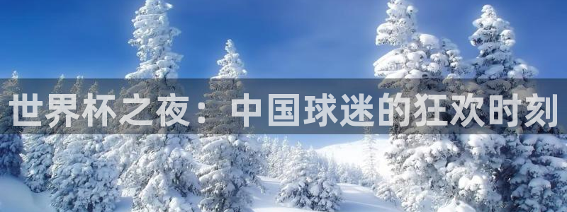 世界杯决赛直播：世界杯之夜：中国球迷的狂欢时刻