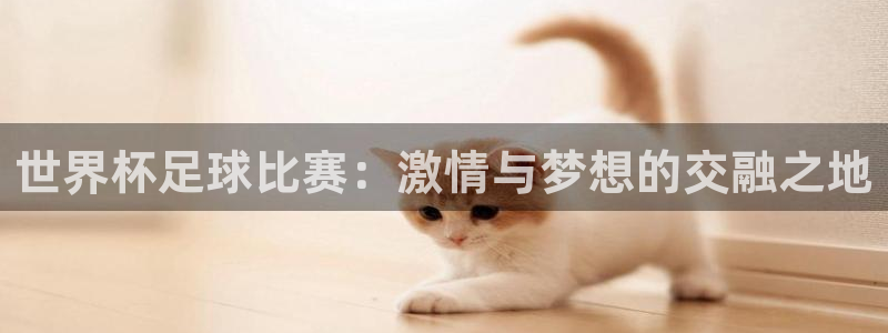 2026世界杯赛程时间表最新：世界杯足球比赛：激情与梦想的交融之地