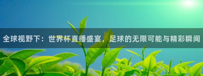 世界杯预选赛赛程：全球视野下：世界杯直播盛宴，足球的无限可能与精彩瞬间