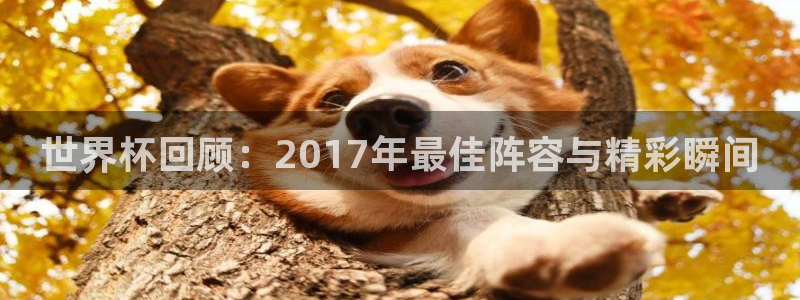 英格兰联赛杯直播：世界杯回顾：2017年最佳阵容与精彩瞬间